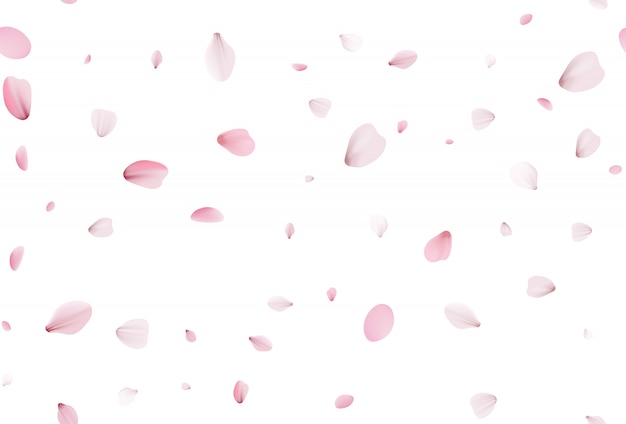 Vector seamless sakura petals. falling realistic cherry petals