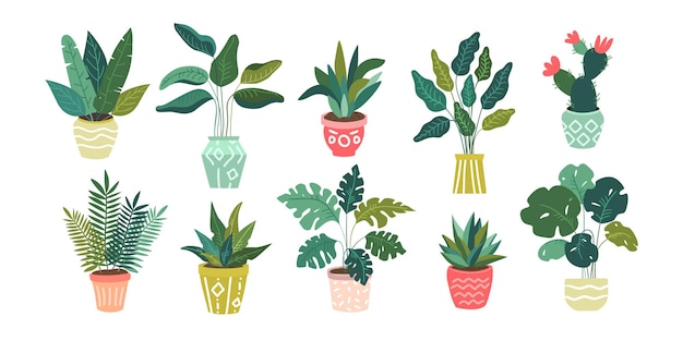 Vector seamless set of different isolated icons of decorative exotic tropical green houseplants and flowers in colorful pots.