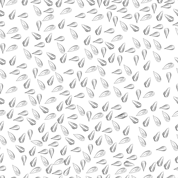 Seamless sunflower seeds pattern. sketch sunflower seeds.