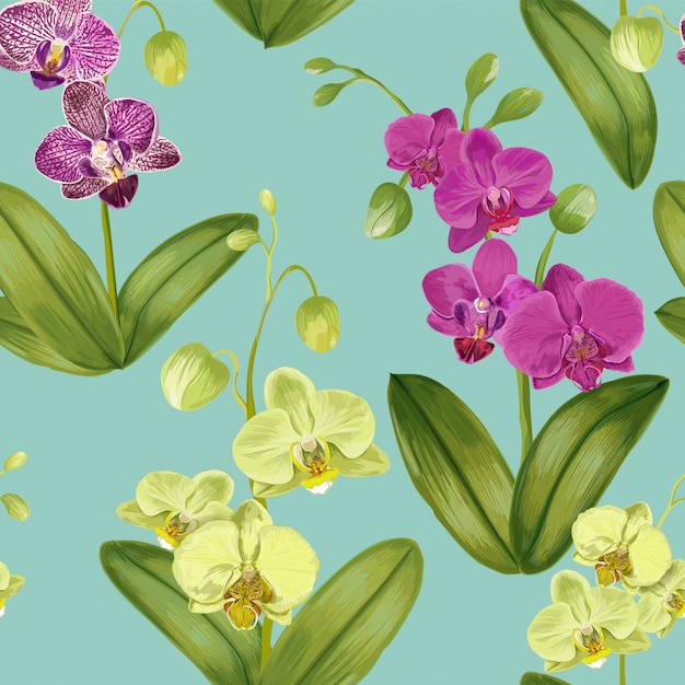 Vector seamless tropical pattern with orchid flowers.