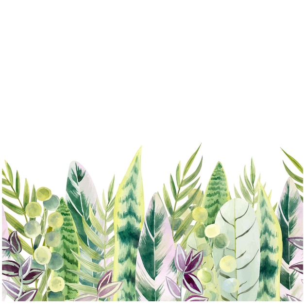 Seamless vector floral border with colorful houseplant leaves