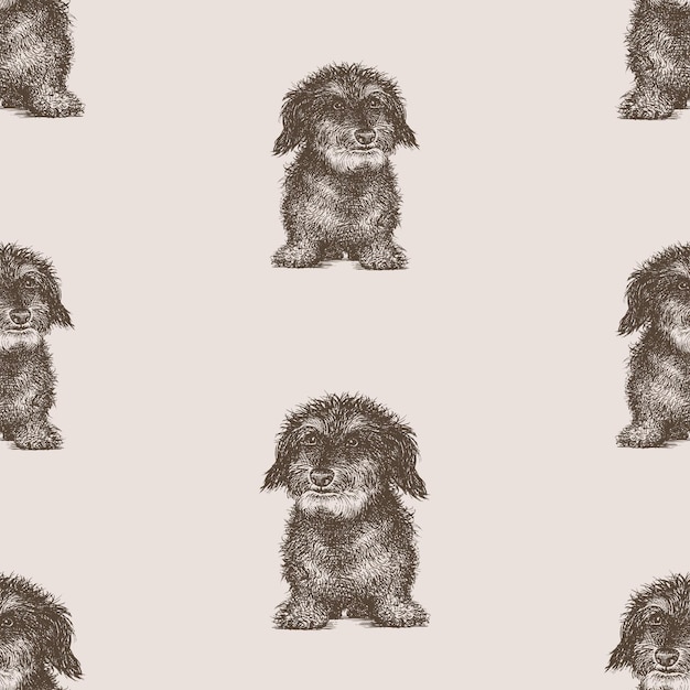 Vector seamless vector pattern of sketches cute cute small shaggy lap dog sitting and looking