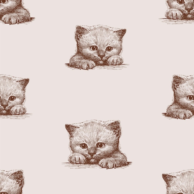 Seamless vector pattern of sketches head and legs small cute kitten portrait baby animal cat