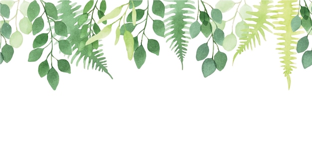 Vector seamless watercolor border pattern banner cute simple eucalyptus and fern leaves abstract print