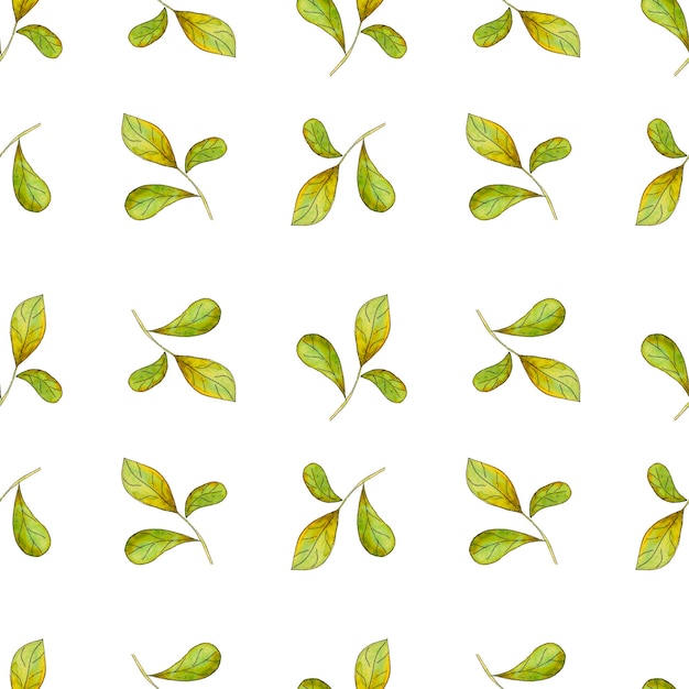 원활한 수채화 잎 패턴 Handdrawn 식물 그림