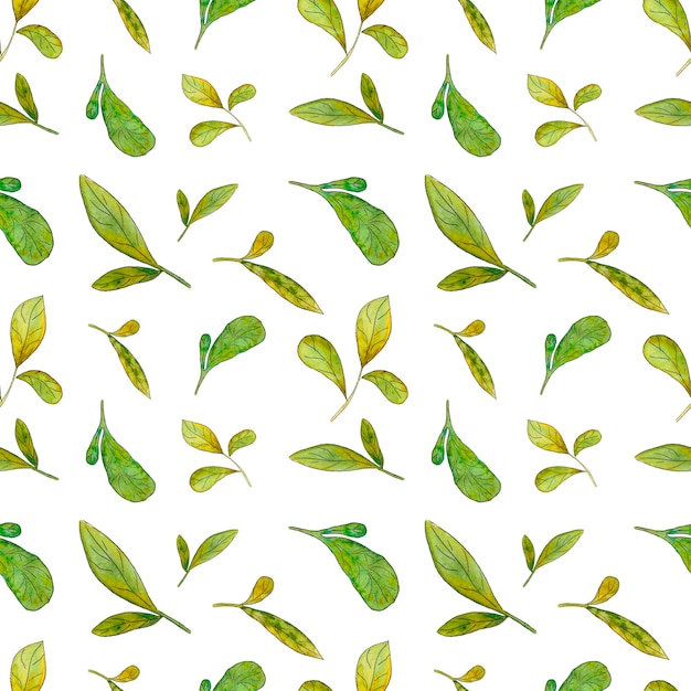 Vector seamless watercolor leaf pattern a handdrawn botanical illustration