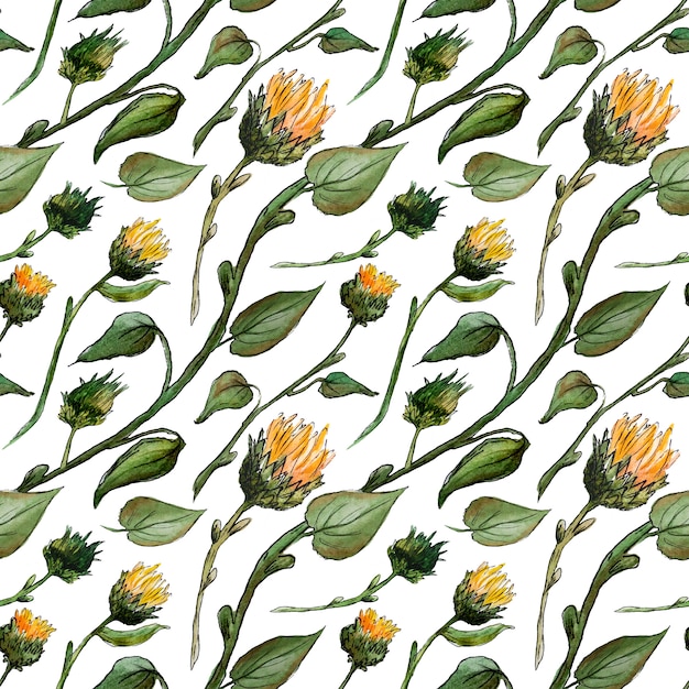 Seamless watercolor pattern sunflower buds