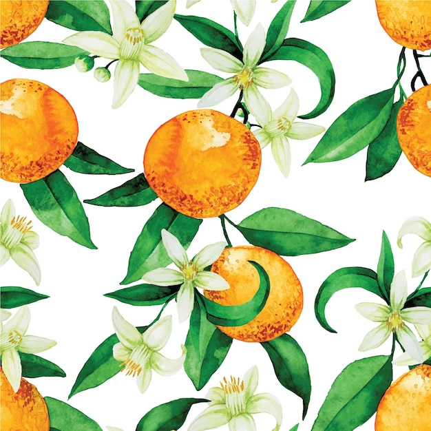 seamless watercolor pattern with oranges orange oranges flowers and leaves on a white background