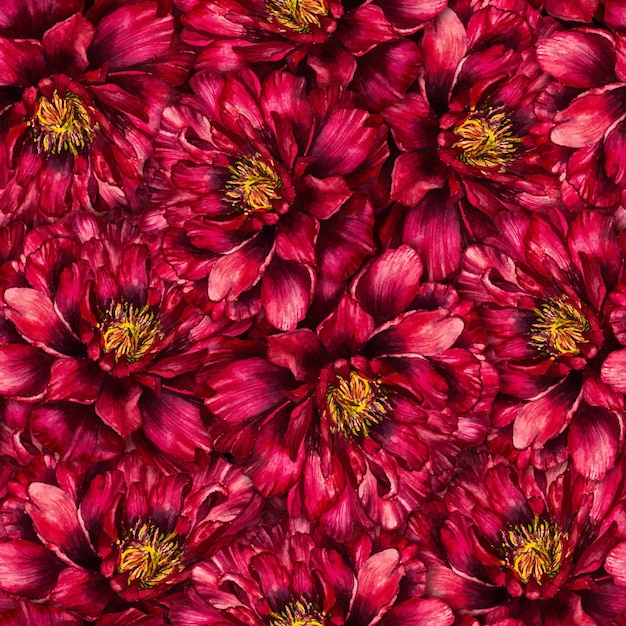 Vector seamless watercolor pattern with peonies