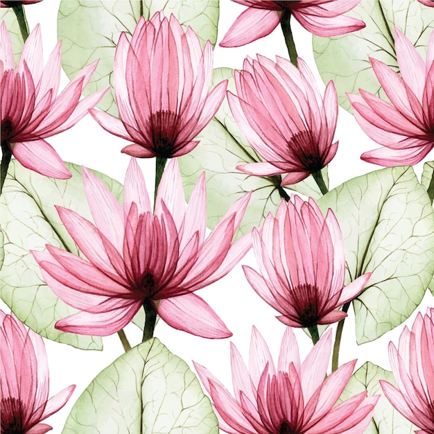 seamless watercolor pattern with transparent flowers and lotus leaves pink transparent lotus xray