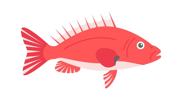 Seaperch Sea Fish Vector illustration