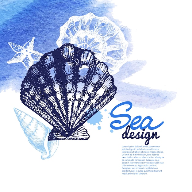 Seashell background. sea nautical design. hand drawn sketch and watercolor illustration