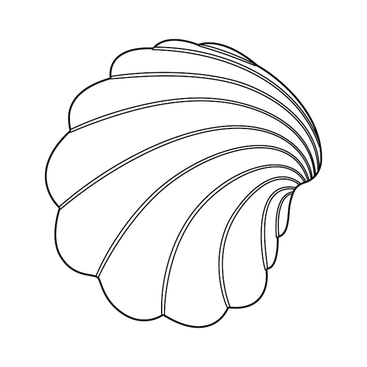 Vector seashell black and white outline art therapy coloring page