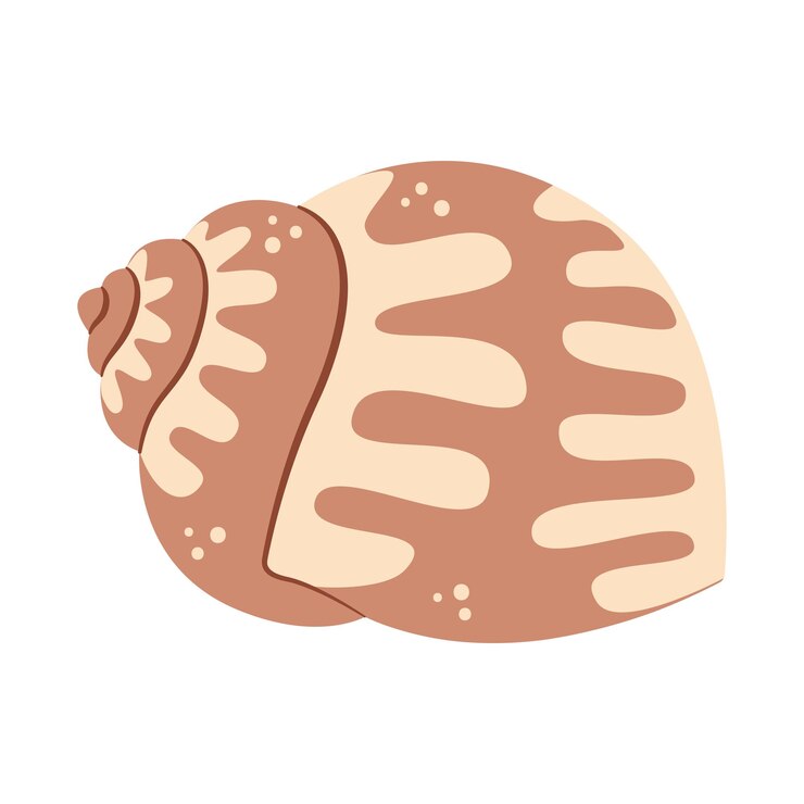 Vector seashell hand drawn cartoon style flat illustration seashell isolated on white background