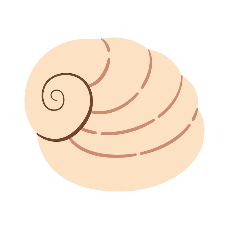 Vector seashell hand drawn cartoon style flat illustration seashell isolated on white background