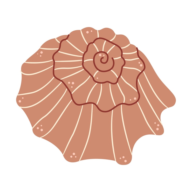 Vector seashell hand drawn cartoon style flat illustration seashell isolated on white background