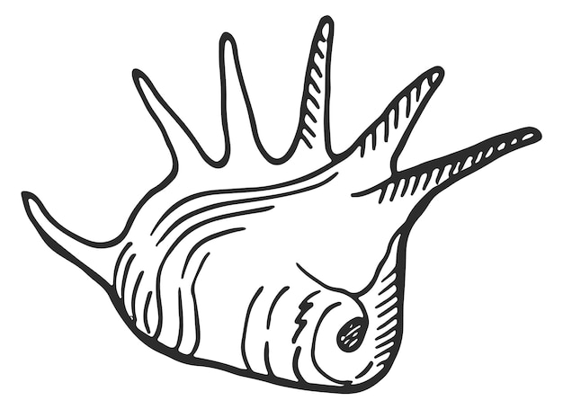 Значок ракушки Ручной обращается эскиз раковины моллюска