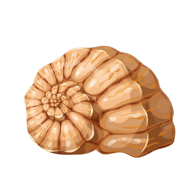 Seashell icon, underwater theme