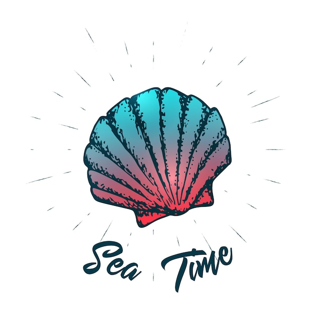 Seashell and lettering vector design sea creature summer hand drawn print