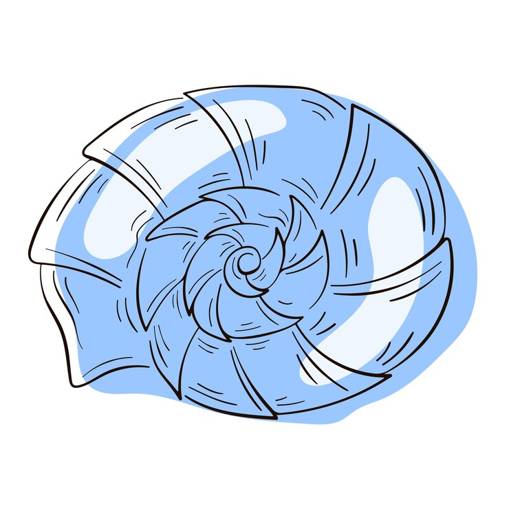 Vector seashell nautilus in line art style undersea underwater logo for sea food shop restaurant and