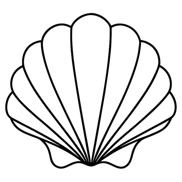 Vector seashell outline coloring book book page for kids line art drawing isolated on white background