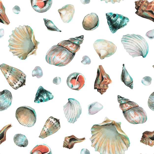 Vector seashell pattern on isolated background hand drawn watercolor seamless ornament with sea shells for