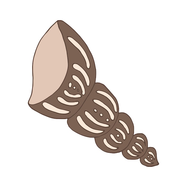 Seashell sea vector isolated hand drawing sketch beige