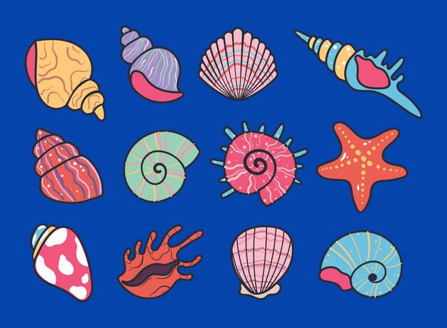 Vector seashell shell star shellfish marine aquatic isolated set flat graphic design illustration