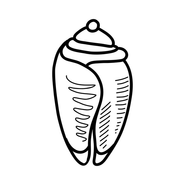 Seashell vector illustration in doodle style