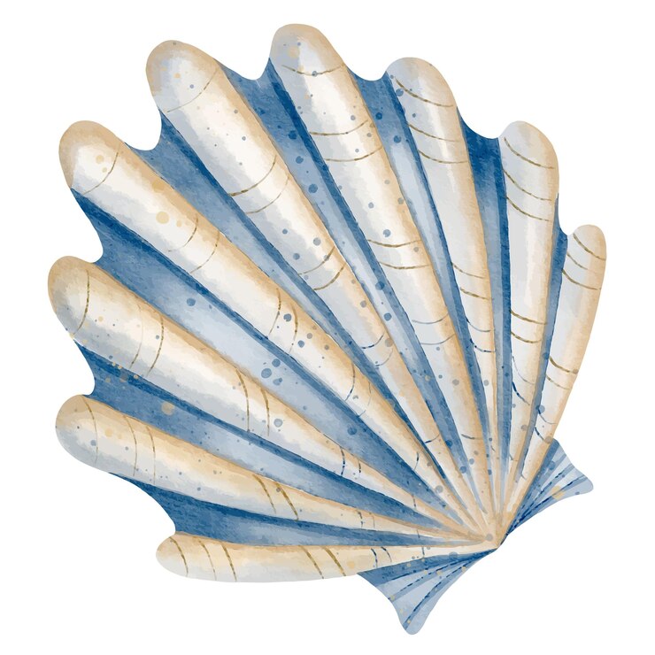 Vector seashell watercolor illustration hand drawn sketch of sea shell in pastel blue and beige colors drawing of seashore for nautical design cockleshell for icon or logo marine element