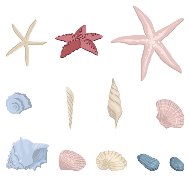 Vector seashells doodles set collection of mollusk shells starfish colored vector illustration in cartoon style modern cliparts isolated on white