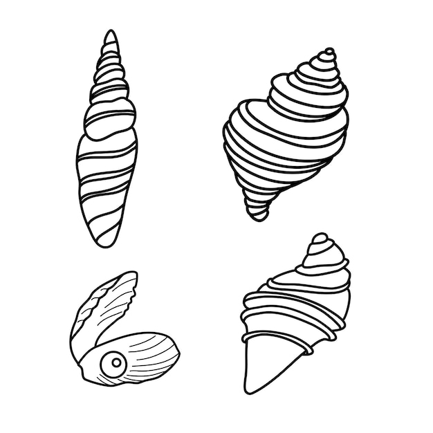 Seashells line art. Graphics seashell. Coral and seaweed. A vector drawn by hand. Hand drawn sea