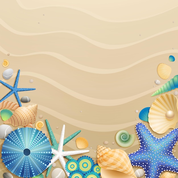 Seashells and stars on the beige sand summer background vector illustration Premium Vector