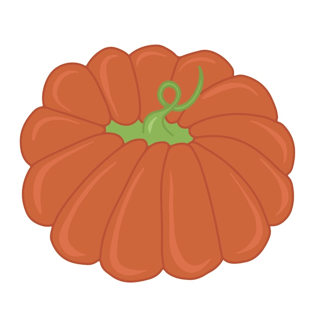 Vector seasonal autumn orange pumpkin flat vector isolated illustration