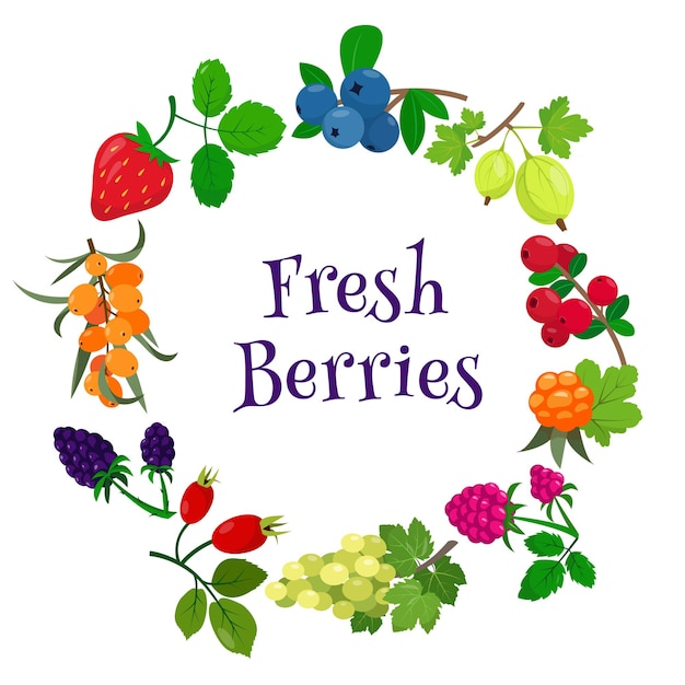 Seasonal round banner with different fresh berries