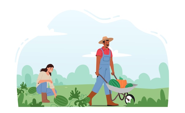 Seasonal Work on Farm Man and Woman Farmers Pick Harvest to Wheelbarrow in Orchard Gardener Harvesting