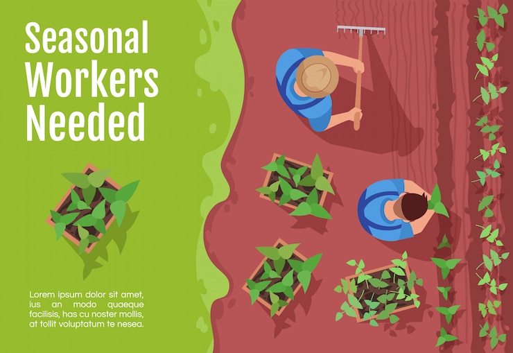 Vector seasonal workers hiring banner template