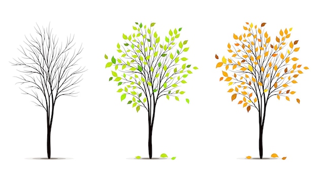 seasons of tree 