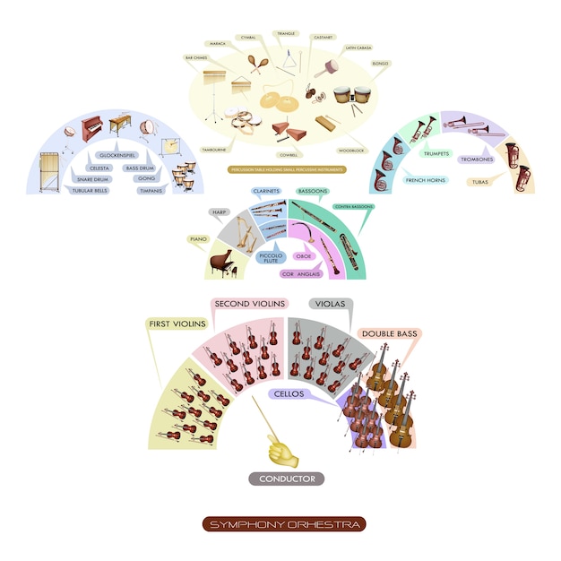 Premium Vector Seating Chart Of Musical Instrument For Symphonic Band