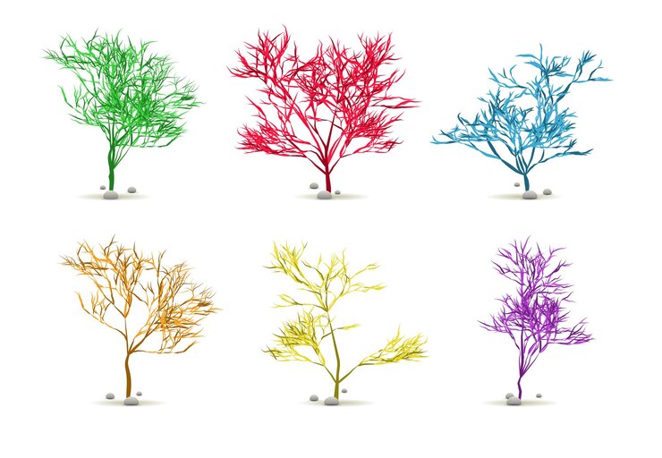Vector seaweed algae hand drawn water plant with stones set isolated on white with silhouette in vector