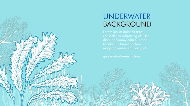 海藻とサンゴのデザイン テンプレート手描きのスケッチ スタイル水中イラスト刻まれたスタイル モノクロ マリン バナー レトロな海の植物の背景