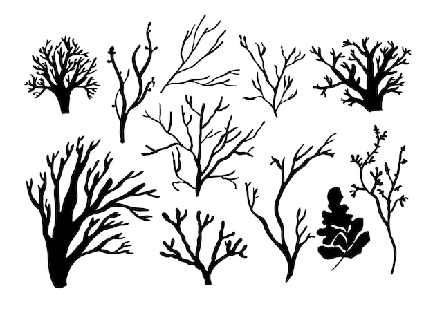 Seaweed, coral and algae set. Different silhouettes of underwater fauna. Black hand drawn vector illustration.