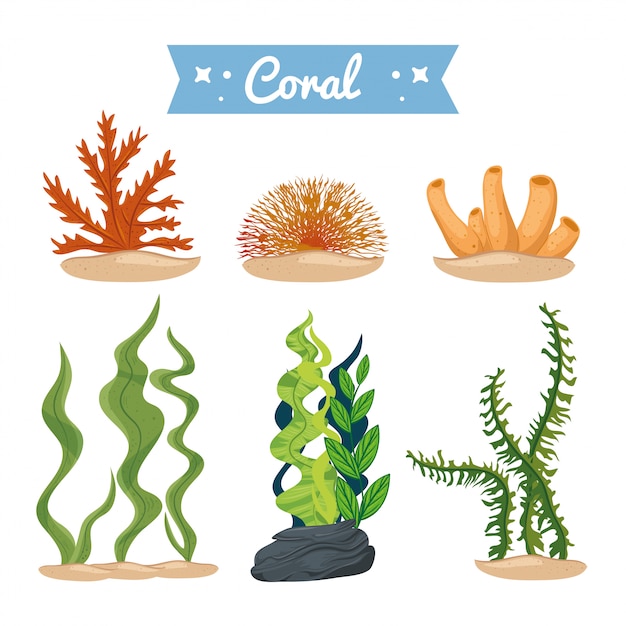 Vector seaweed and coral, underwater nature icons