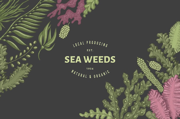 Seaweed design template