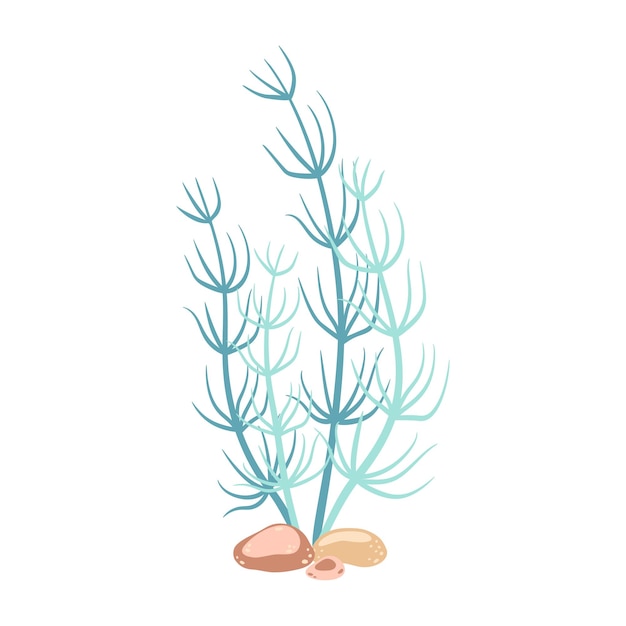 Vector seaweed hand drawn algae colorful seaweed modern flat illustration