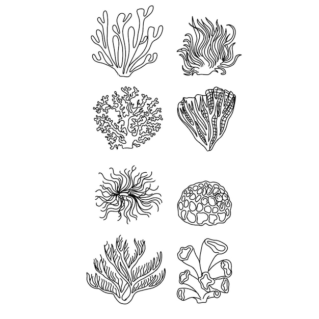 해초 일러스트 삽화 그림 바다 벡터 물 바다 대양 자연 수생 식물 바닷속