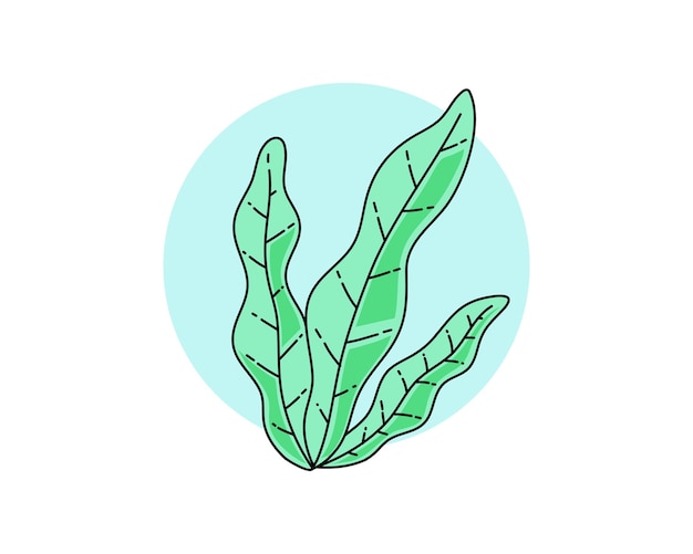 Seaweed illustration with cute style