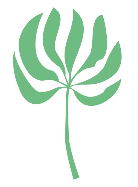 Seaweed kelp icon on a white background isolated