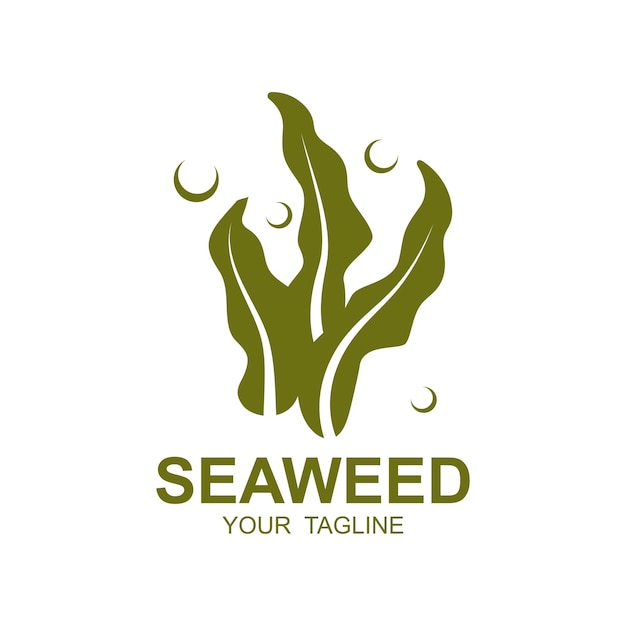 Seaweed Logo Design Underwater Plant Illustration Cosmetics And Food Ingredients