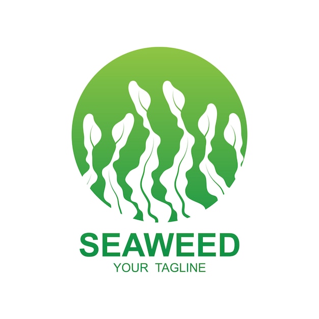 Seaweed Logo Design Underwater Plant Illustration Cosmetics And Food Ingredients
